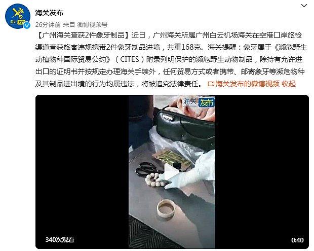 广州白云机场海关查获2件象牙制品
