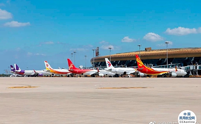 新桥机场8月国内全货机货邮吞吐量创新高