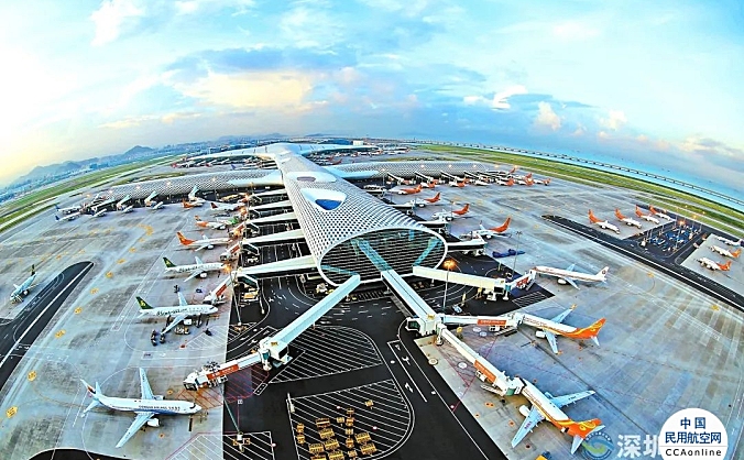 深圳机场新开航线直达欧洲南美覆盖东南亚 一季度跨境电商空运业务同比增85%