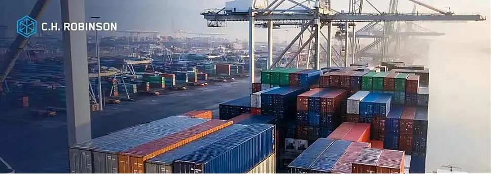 2023年第二季度罗宾升国际货运市场动态