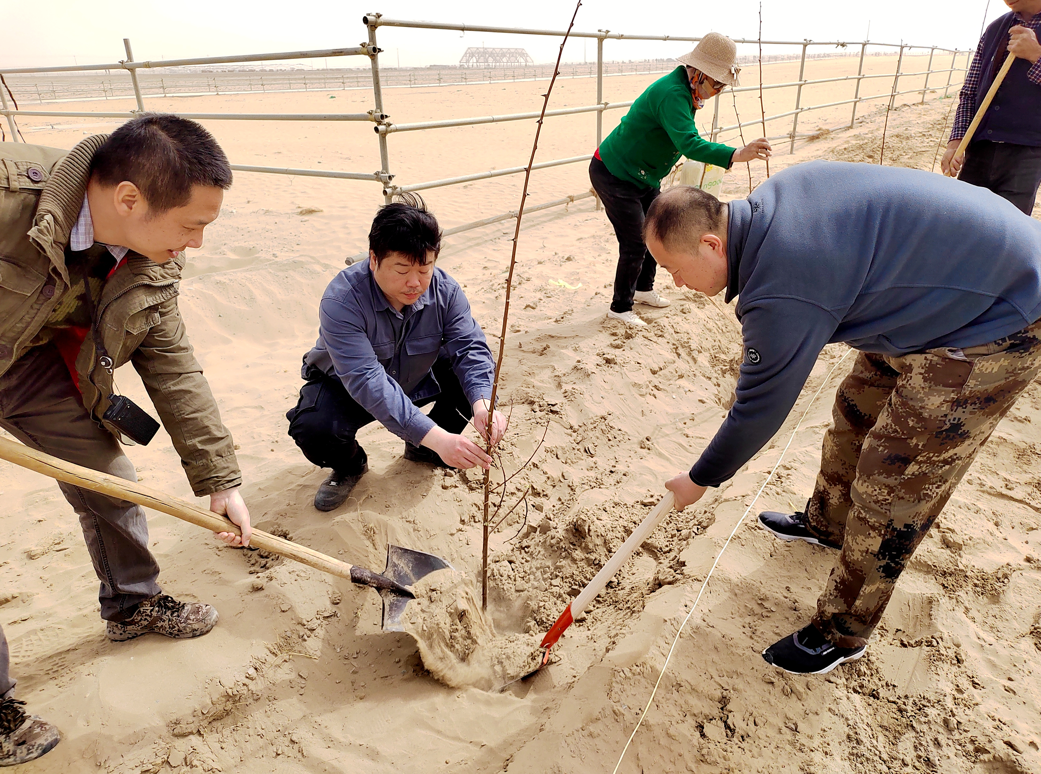 新疆空管局助力乡村振兴组织开展植树节义务植树活动