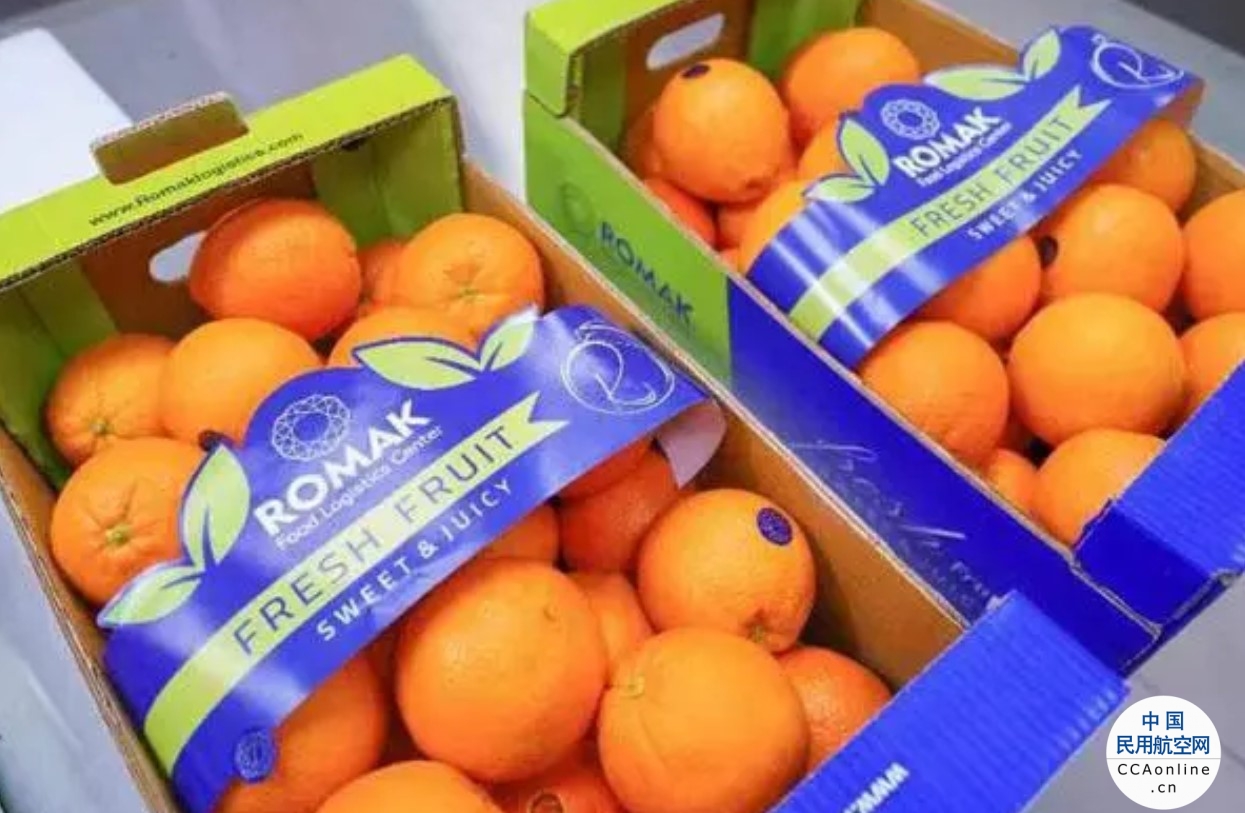 伊朗输华柑橘在沪通关 有望成上海水果市场新宠