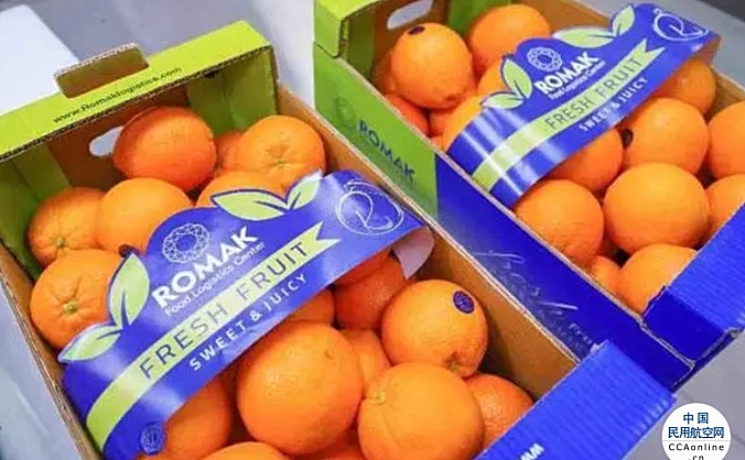 伊朗输华柑橘在沪通关 有望成上海水果市场新宠