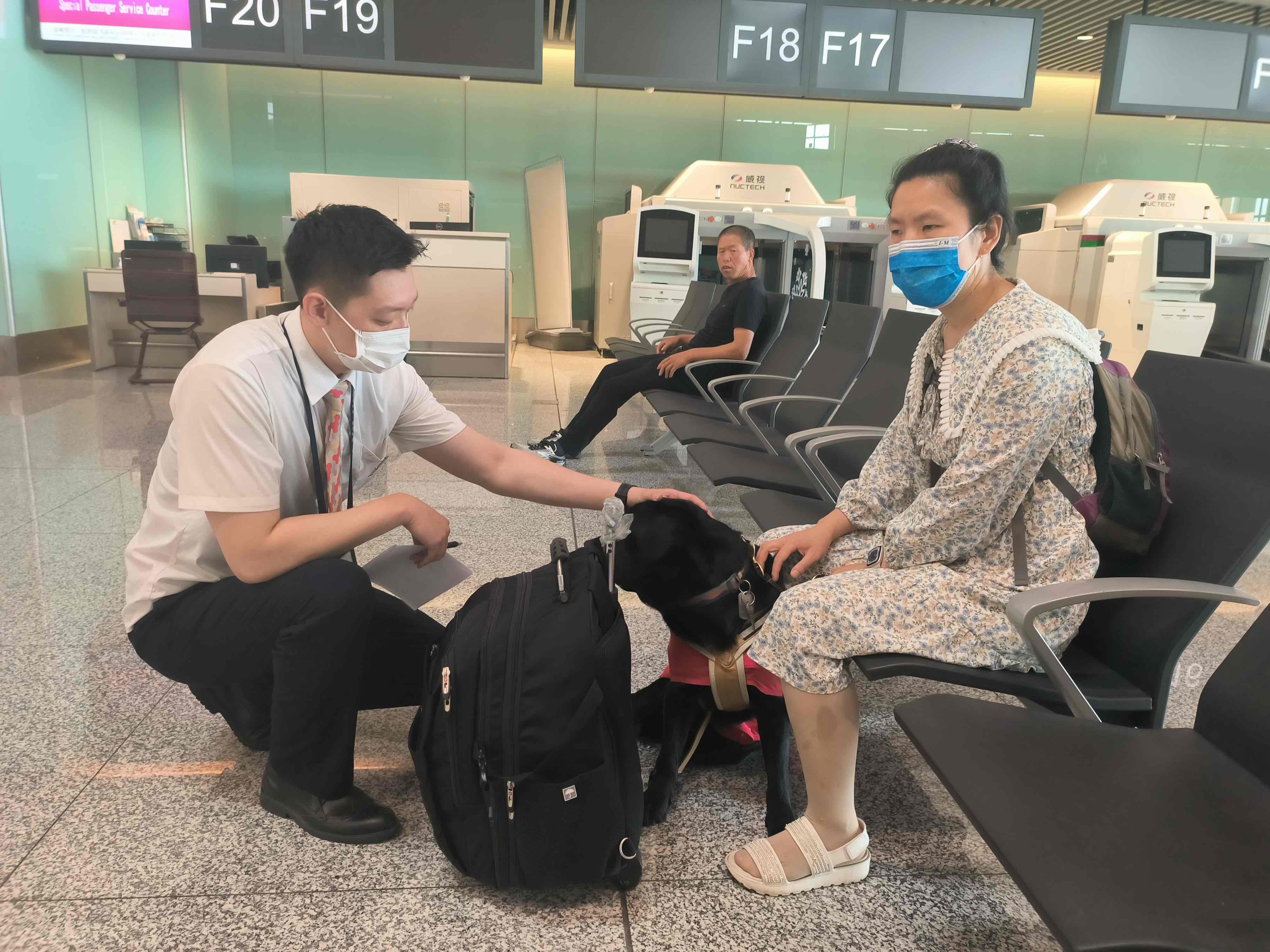 龙江航空首次保障携带导盲犬旅客出行