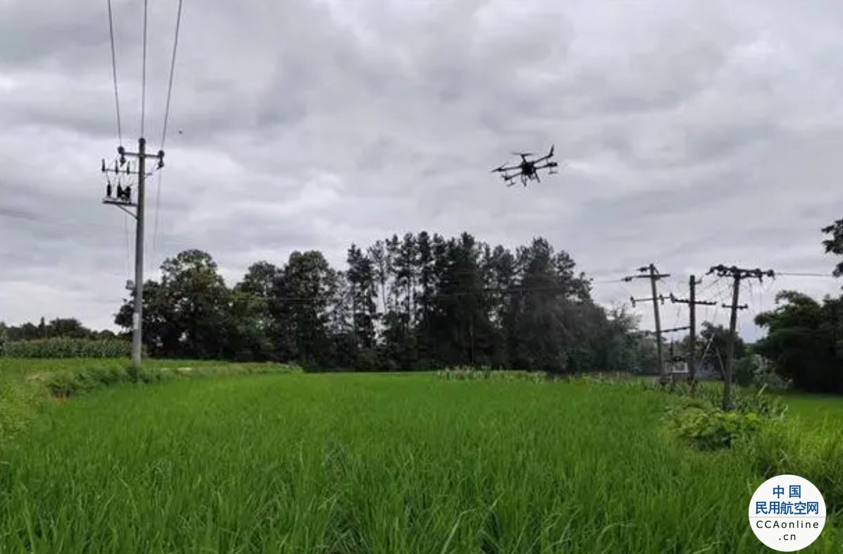 无人机“飞防”科技助农保丰收