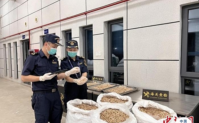 广西南宁机场口岸首次开展药食同源中药材进口业务