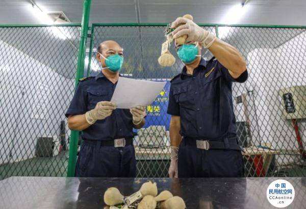 海关查获10个挂有袋鼠睾丸工艺品钥匙扣：系我国禁止携带、寄递进境产品