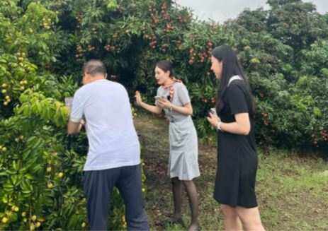 北部湾航空积极助“荔”，拓宽广西灵山荔枝销售渠道