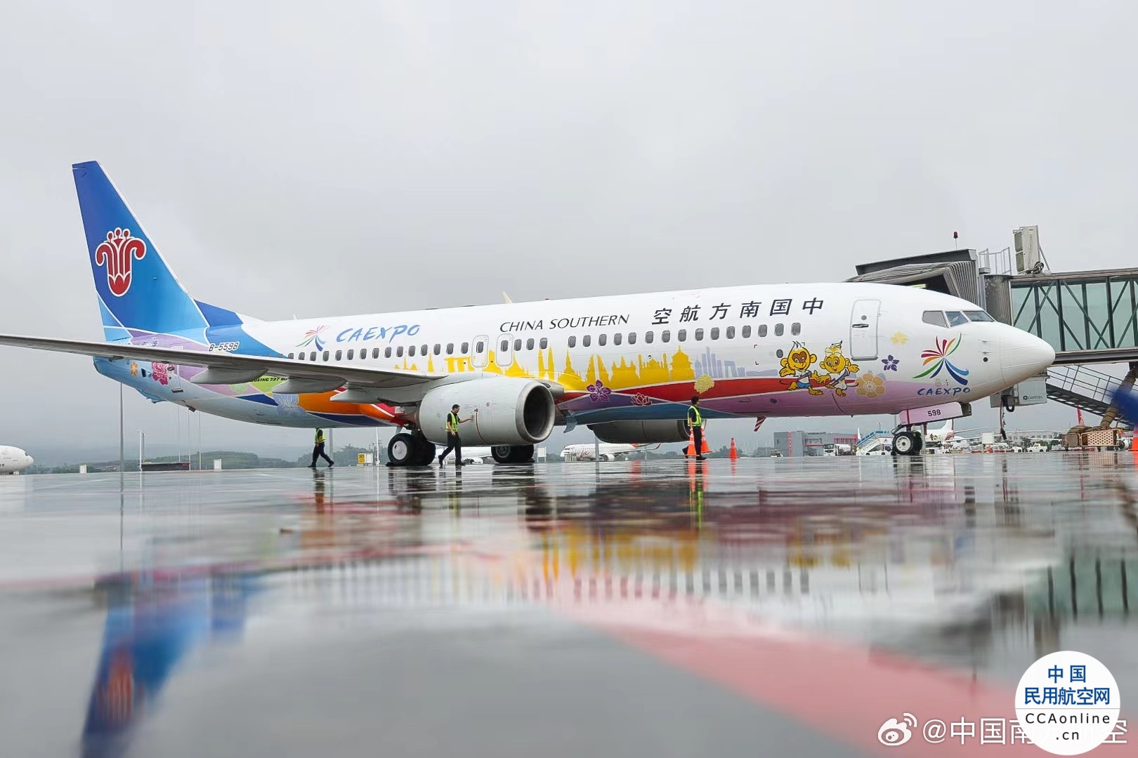 中国—东盟博览会号彩绘飞机亮相