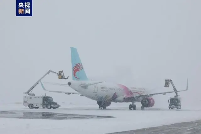 应对降雪天气 哈尔滨机场提前取消航班81班