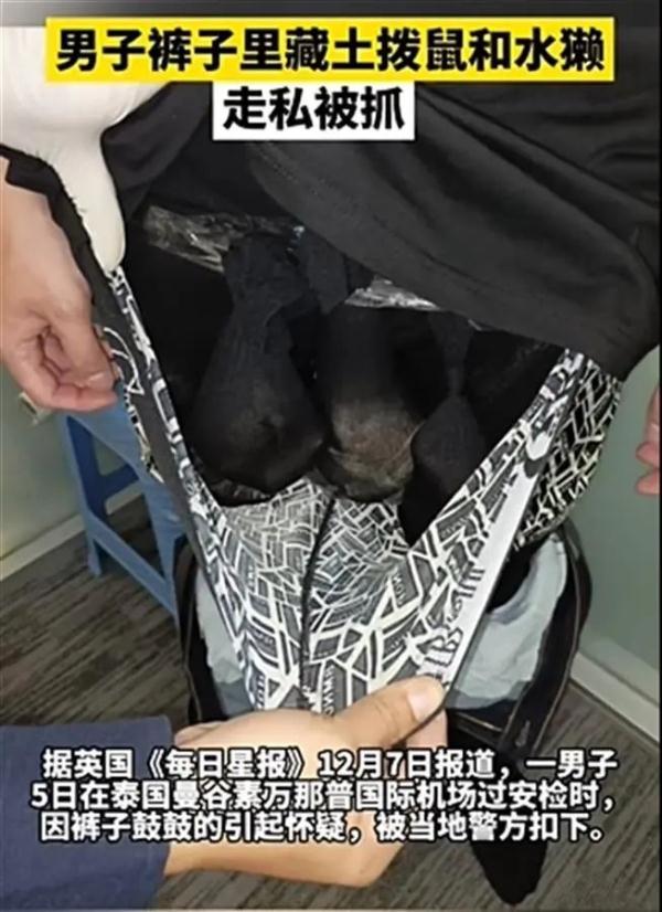 裤裆藏了两只水獭、一只土拨鼠，男子涉嫌走私在泰国机场被查