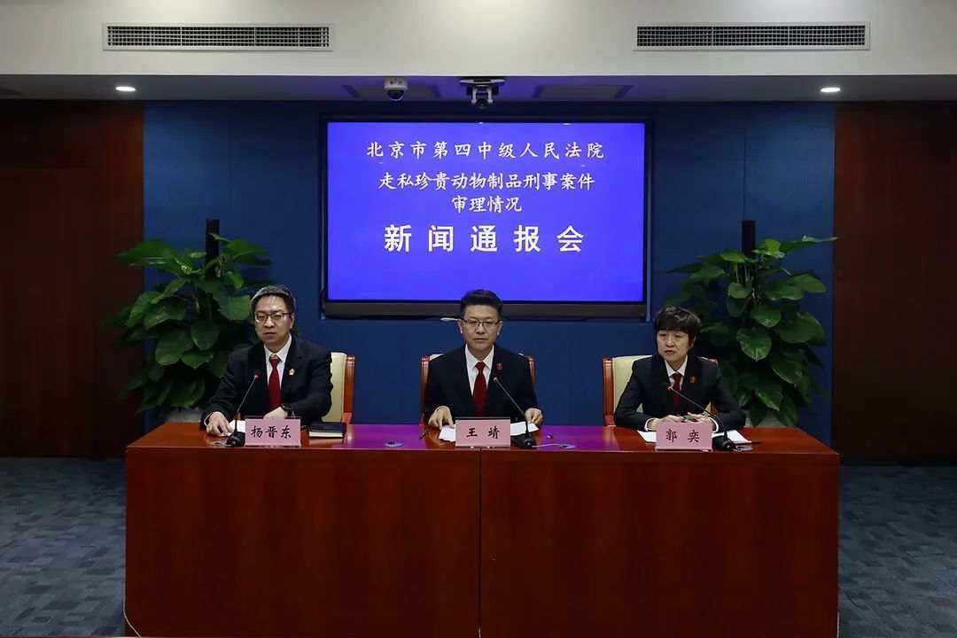 獲刑10年！首都機場一旅客走私價值250萬元珍貴動物制品