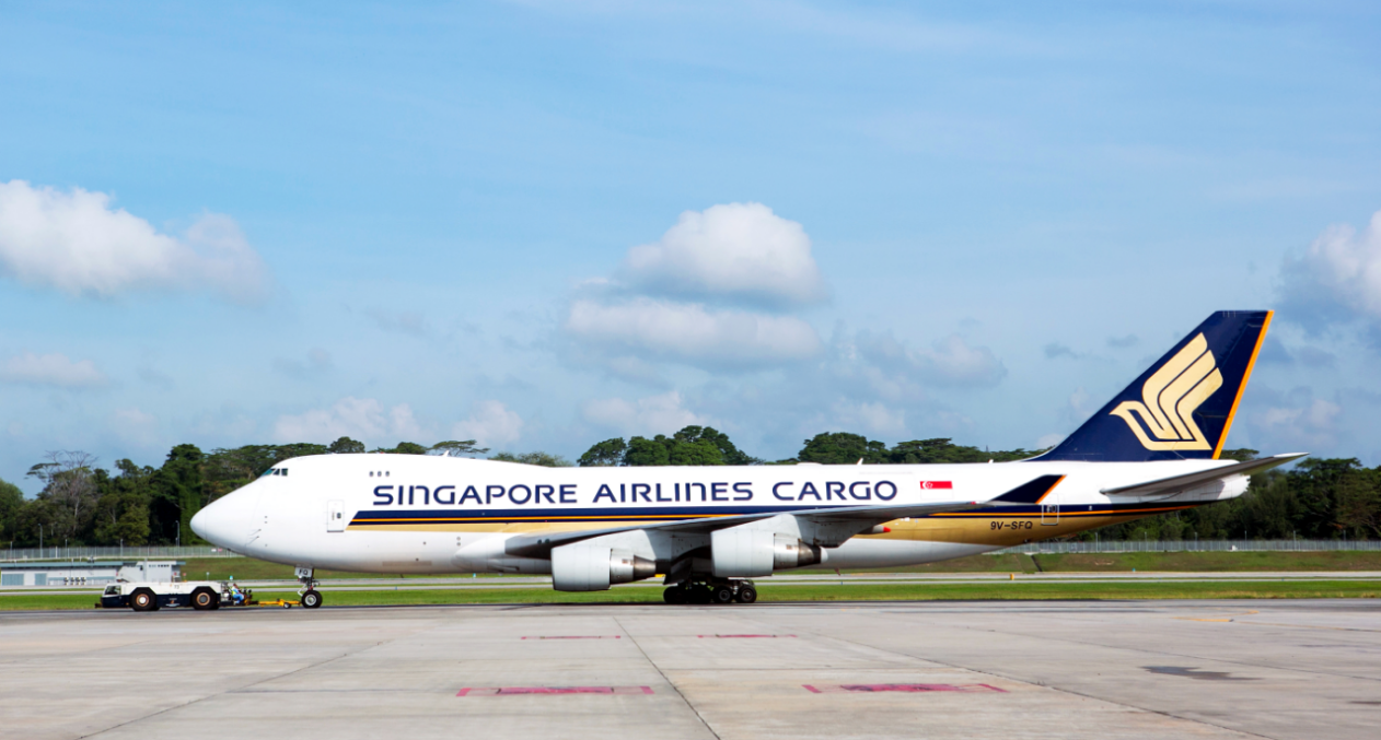 在新加坡出生的大熊猫“叻叻”今天启程回国，新加坡航空公司和万态保育集团准备了从新加坡飞往成都的贵宾航班