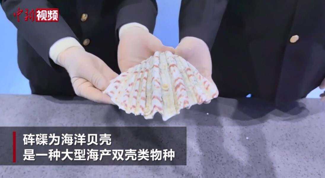南京海关查获砗磲制品6件 总重约4.4公斤