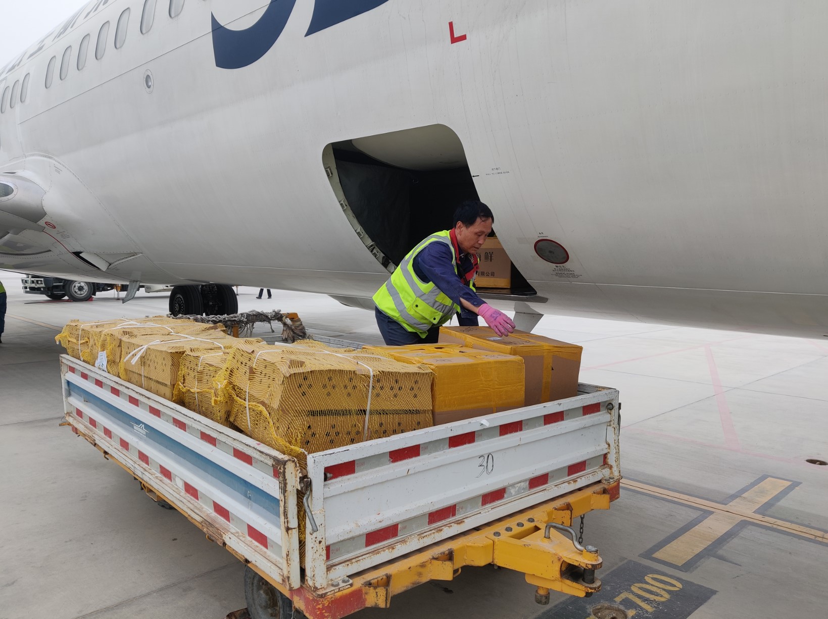 库尔勒机场全力保障货运“新星”水产品运输