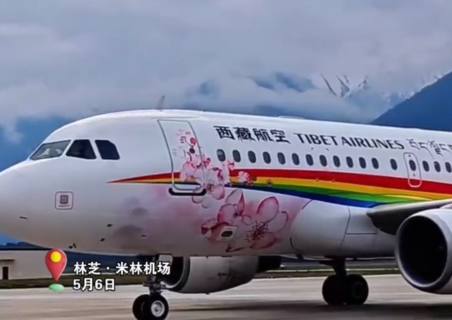 西藏航空“林芝桃花号”冠名飞机正式首飞