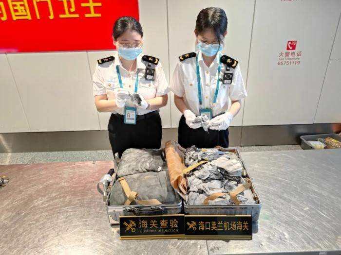 海口海關查獲1箱舊手套其上殘留金粉等貴金屬物質
