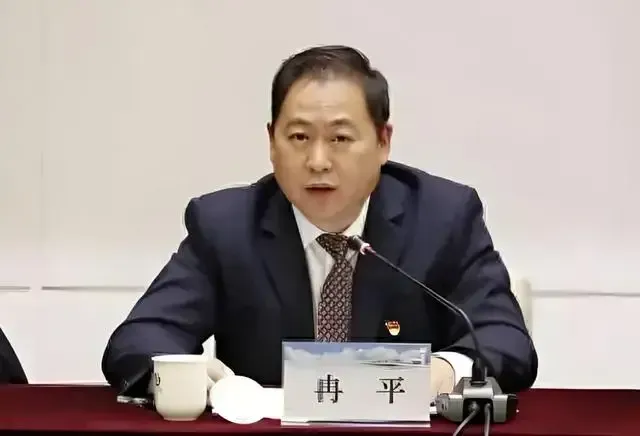 貴州民航集團原副總經理冉平被提起公訴
