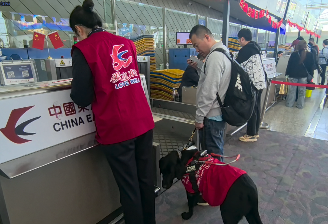 东航甘肃分公司呵护携导盲犬旅客乘机