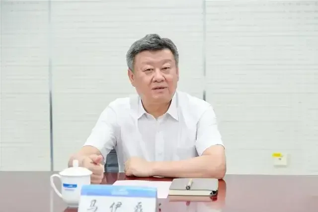 馬伊磊主動投案，曾任新疆機場集團董事長