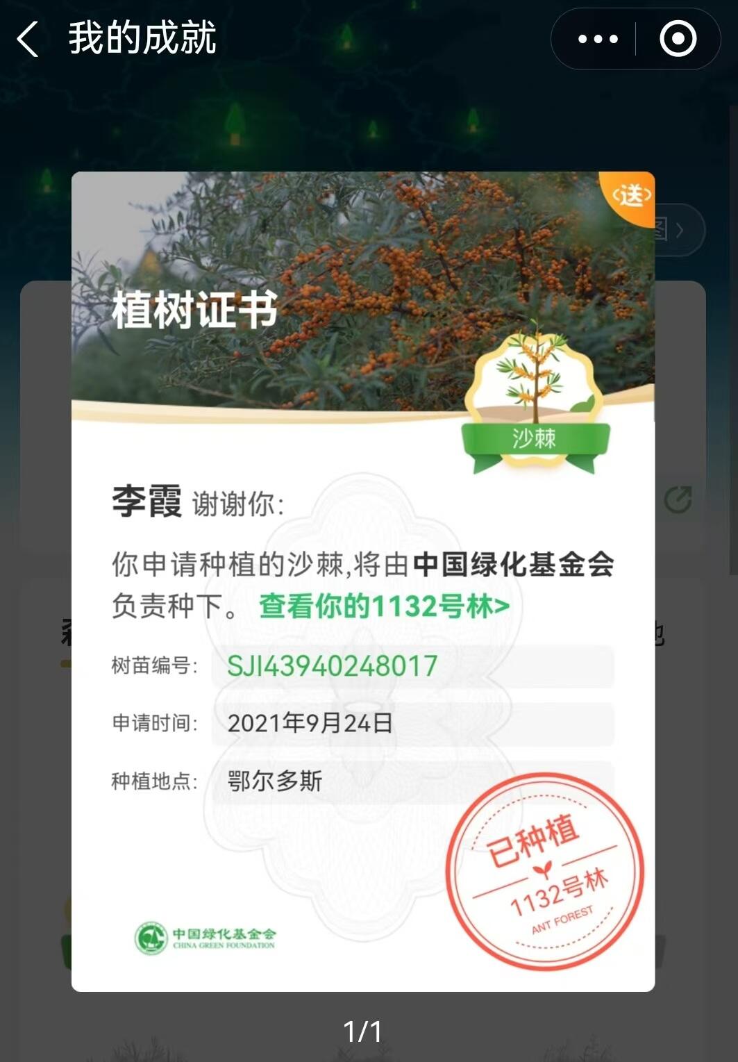 云端植樹(shù)，綠動(dòng)未來(lái)---新疆機(jī)場(chǎng)集團(tuán)烏魯木齊國(guó)際機(jī)場(chǎng)分公司安全檢查總站“云植樹(shù)”活動(dòng)熱力全開(kāi)