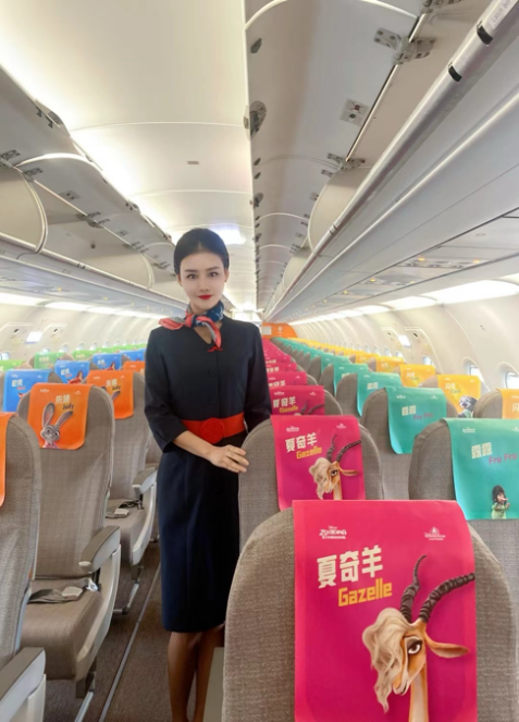 蓝天之上写初心 万米云端绽芳华——记东航四川分公司客舱部劳模司晶晶