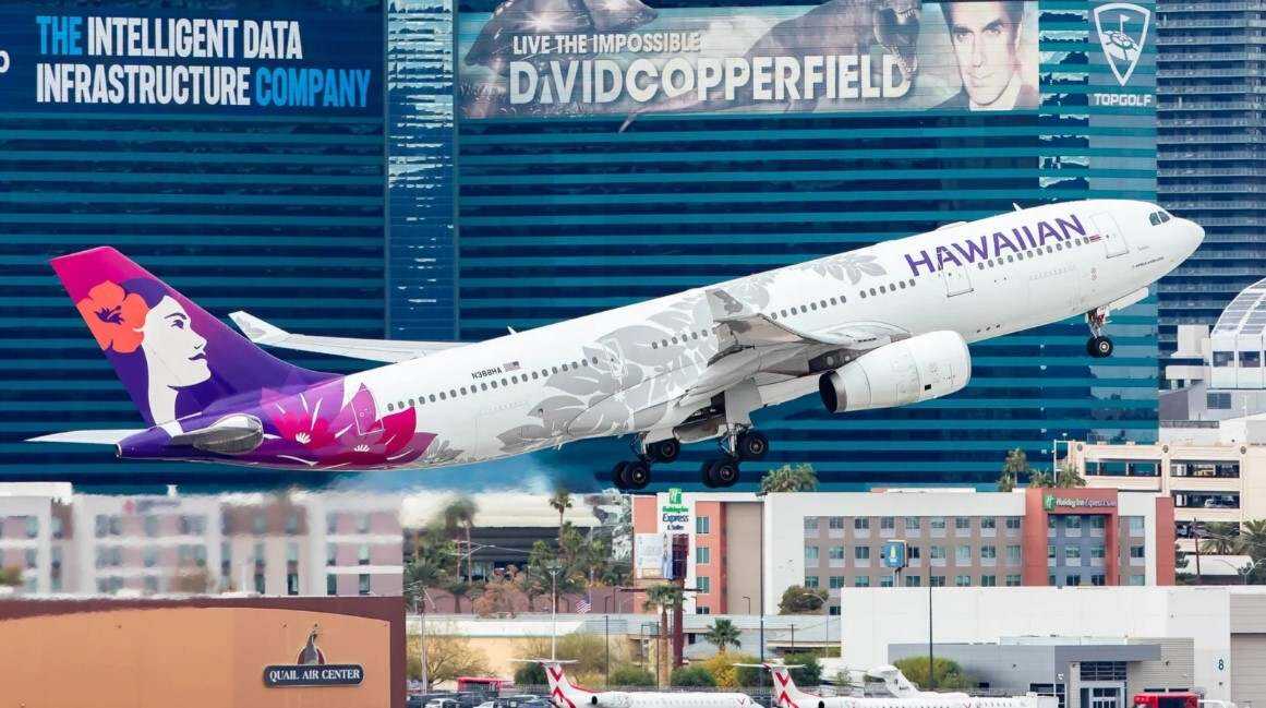 流浪狗進入跑道導致數架飛機復飛