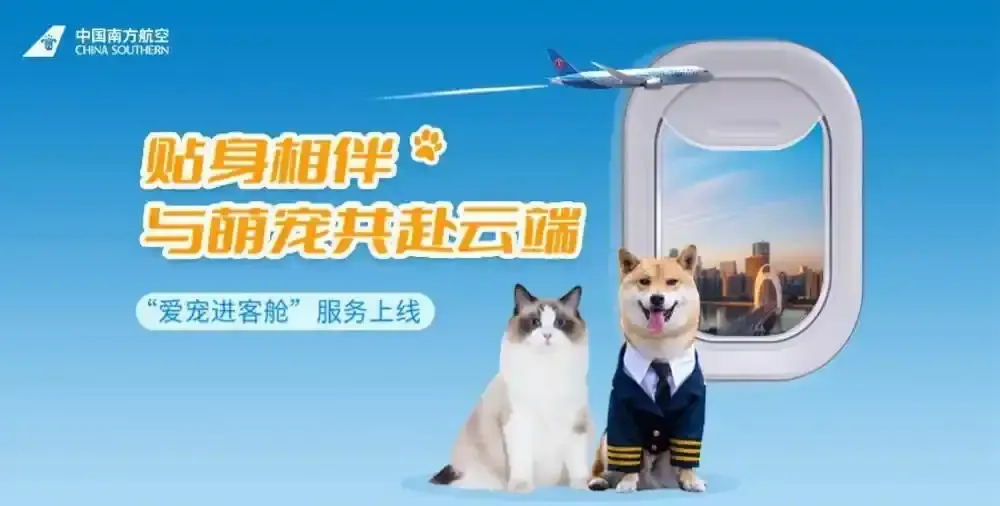 南航：寵物可進客艙飛三亞