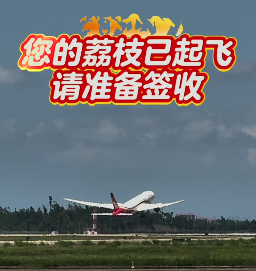 起飞！海南荔枝直达伦敦