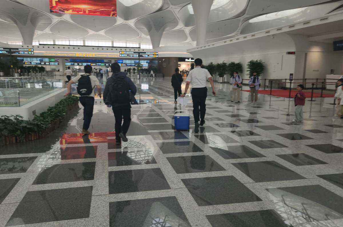 30分钟生命接力！东航甘肃公司保障三例人体捐献器官运输