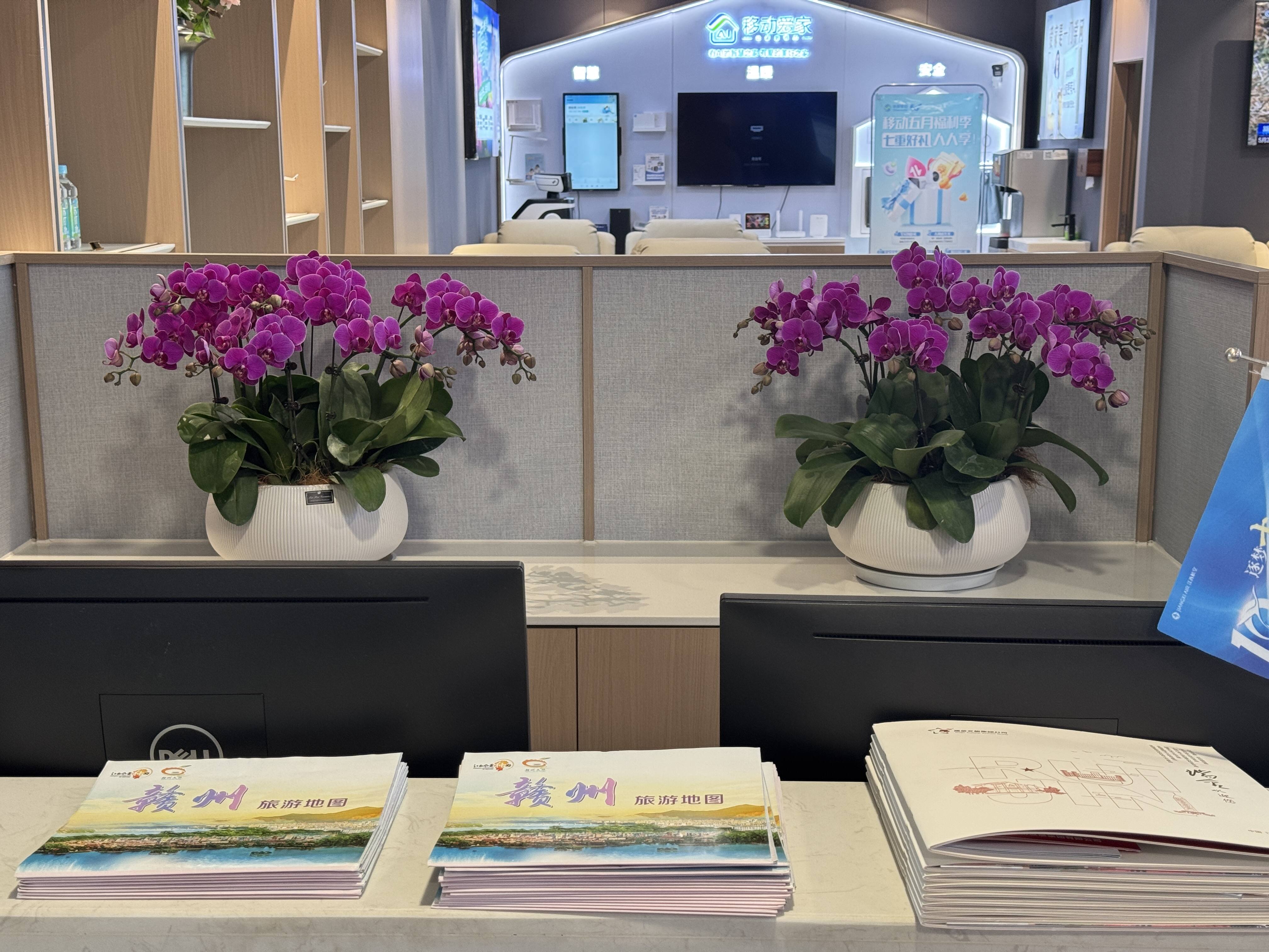 足坛世界杯直播在线观看——高清足球直播平台推荐传奇：20年五届世界杯影像展见证足球历史的瞬间