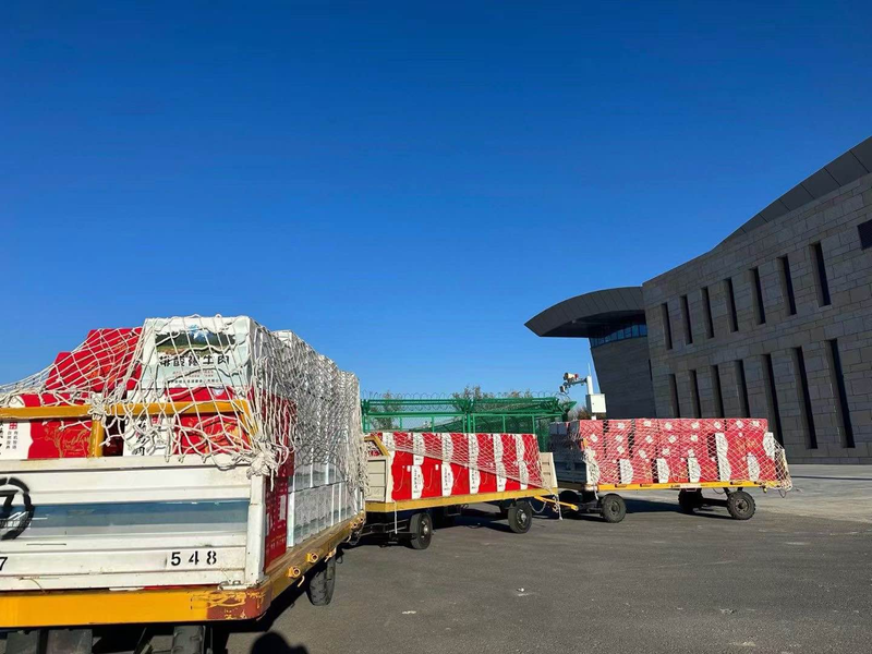瓜果飘香季｜新疆机场集团克拉玛依古海机场助力小白杏“甜蜜出圈”