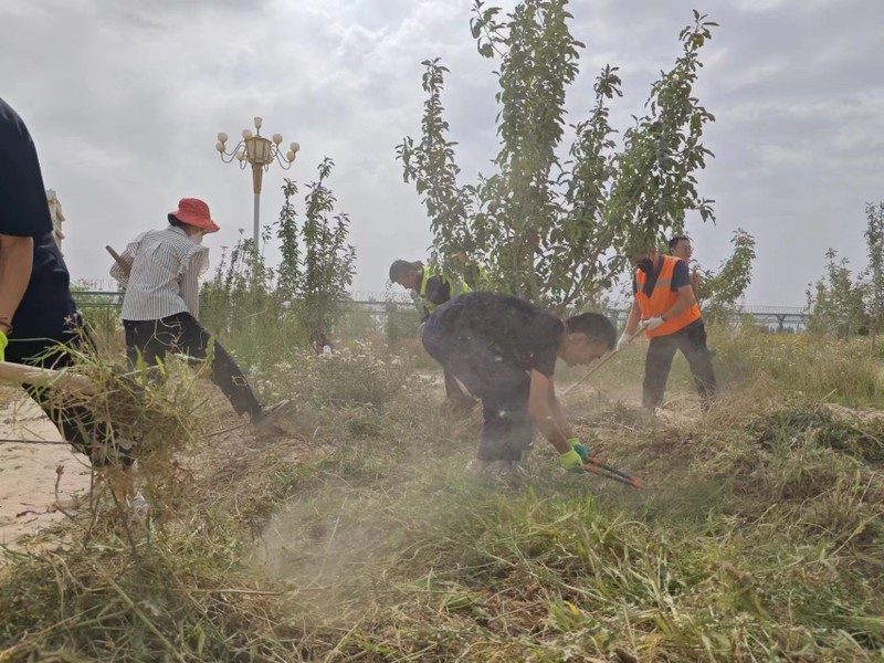 新疆机场集团喀什管理分公司组织开展青年员工生态果园除草实践活动