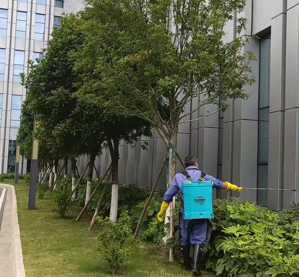 科学除虫害 筑牢健康家园——西南空管局商务公司天府服务部开展夏季蚊虫整治专项行动