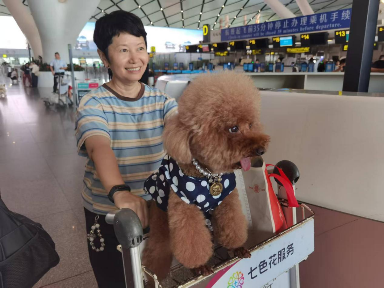 带上“毛孩子”出游 广西北部湾航空成功保障携宠旅客赴大西北旅行