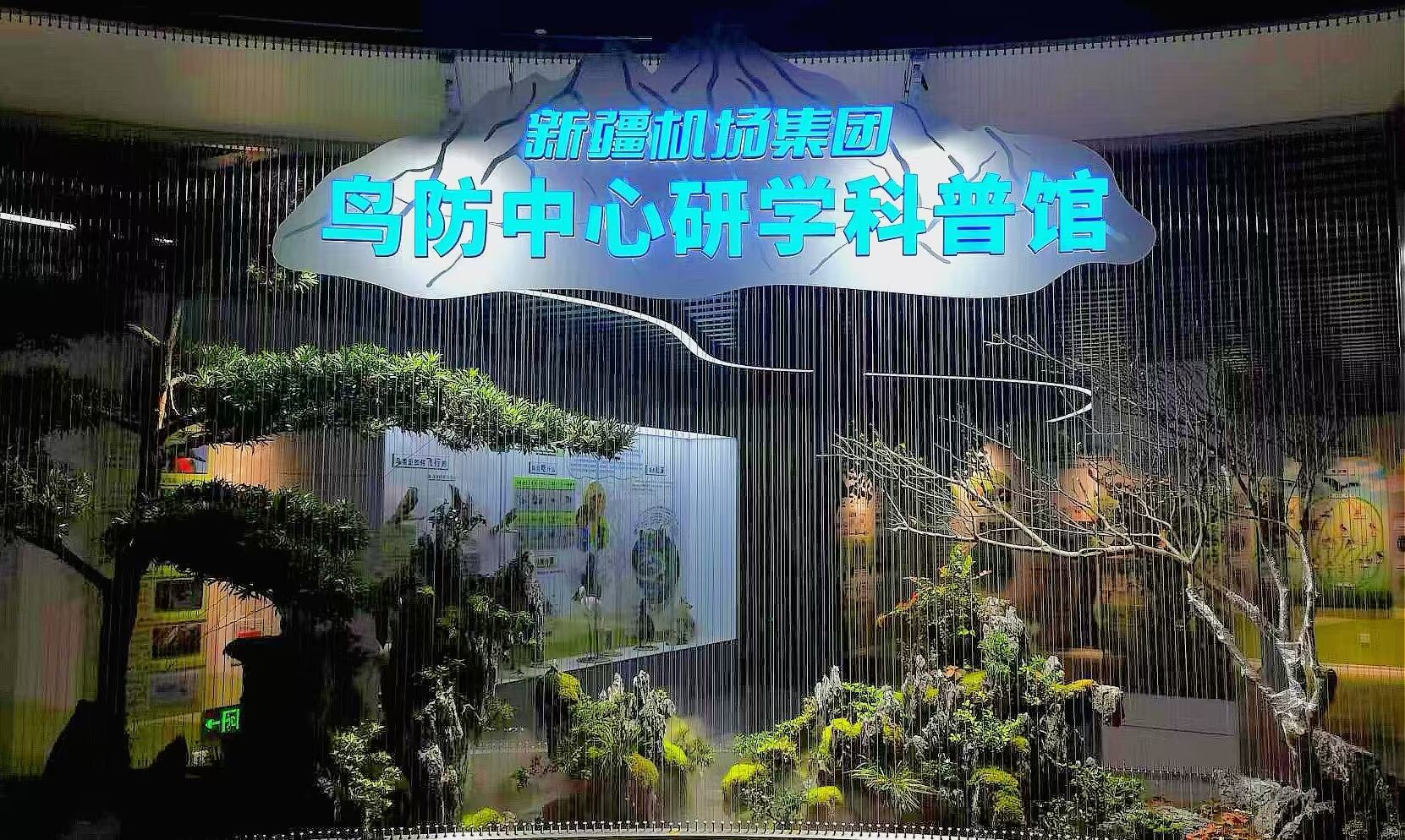 筑牢蓝天安全屏障 新疆机场集团打造首座鸟击防范科普馆 开启鸟防能力建设新征程