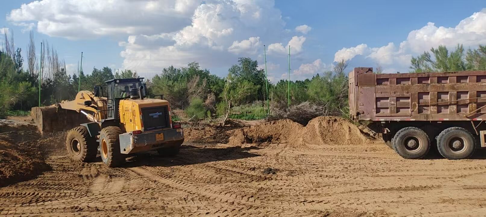 乌海机场联合地方政府整治周边生态