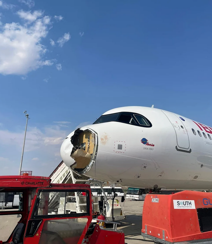 西班牙一客机起飞后遭鸟击 机鼻被撞碎