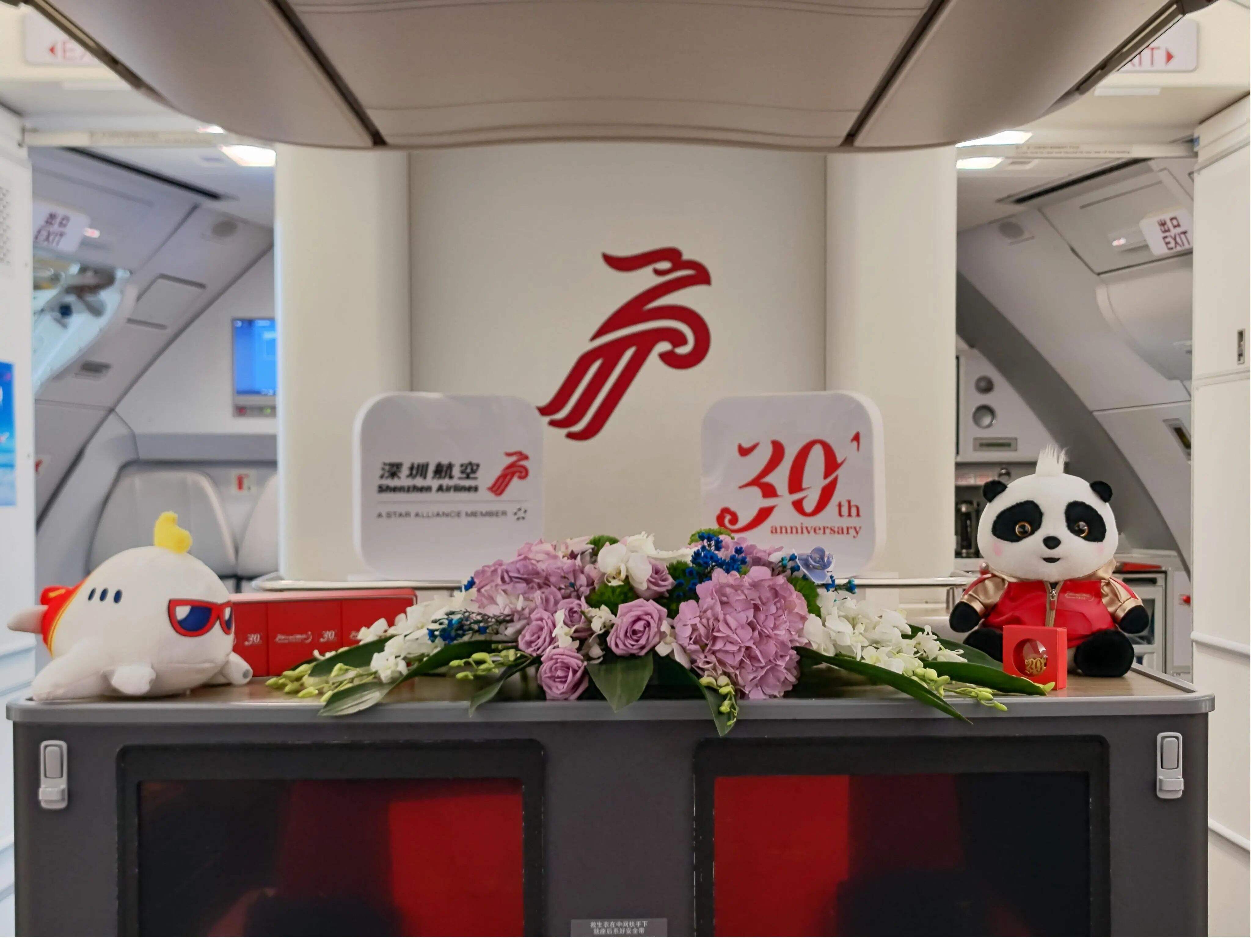 欢庆深航开航日 9月17日举办主题航班活动