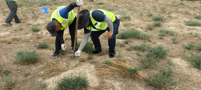 新疆机场集团那拉提机场开展飞行区灭鼠专项防治行动
