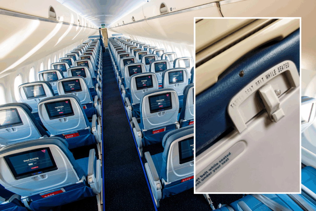 达美航班惊现臭虫 乘客投诉机组冷漠