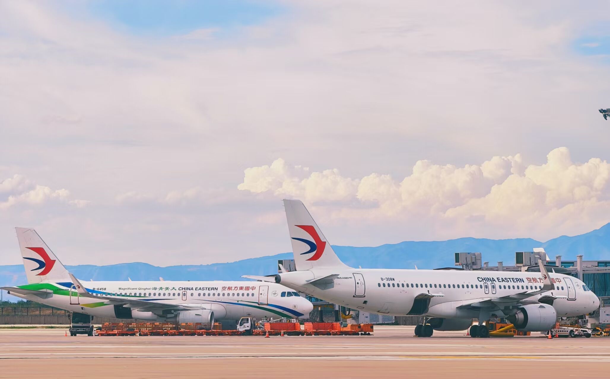 东航在西安咸阳国际机场推出“宠物进客舱”服务,首批覆盖六条航线