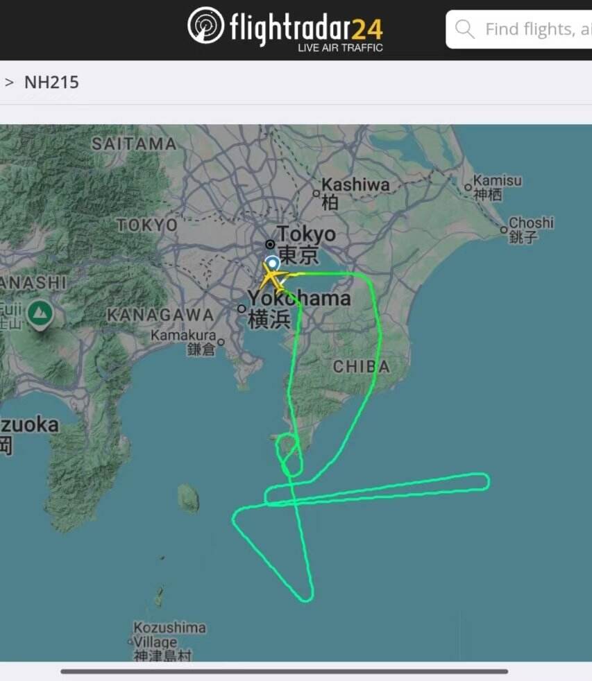 全日空飞巴黎一客机发动机故障紧急返航 旅客拍到空中放油画面