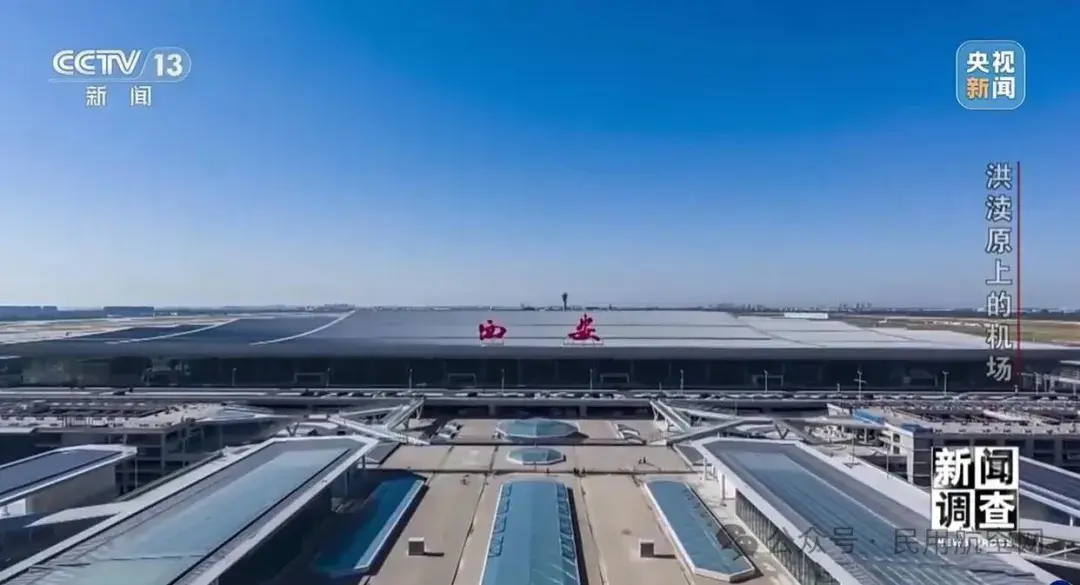 西安机场扩建新发掘古墓4093座,每一步都神奇,要配考古队