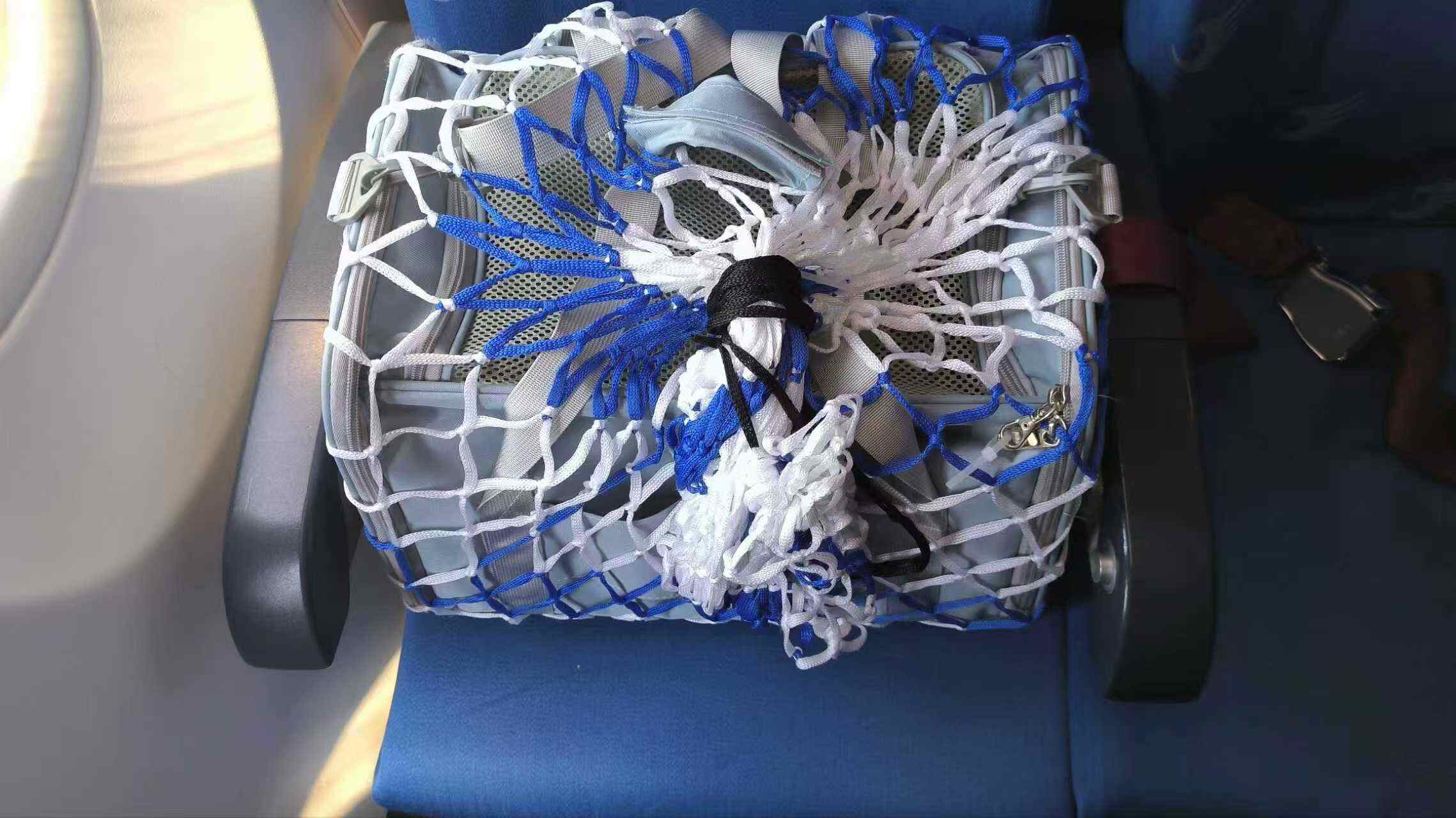 想带“毛孩子”一起飞?河北航空贴心服务护您周全!