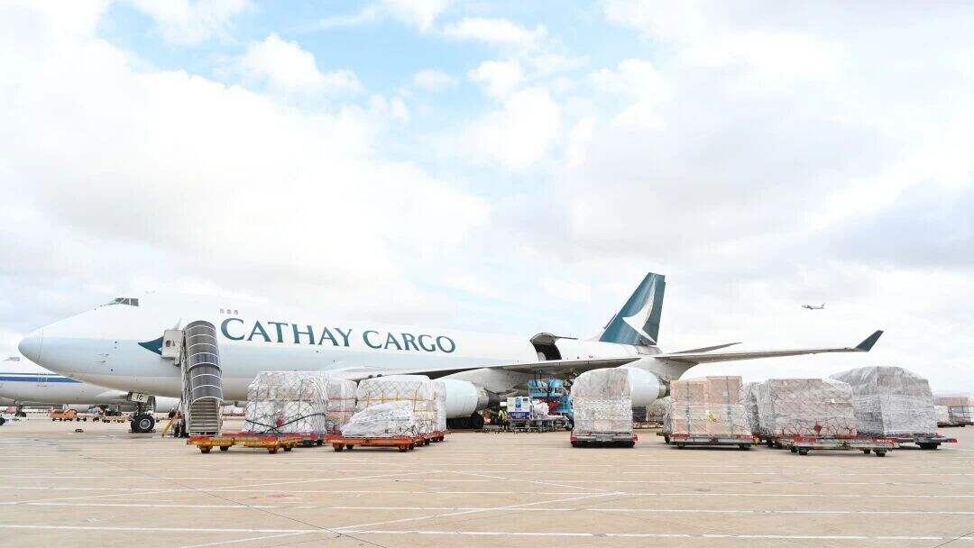 251件30.1吨，上海机场顺利保障古埃及国宝文物离沪赴港