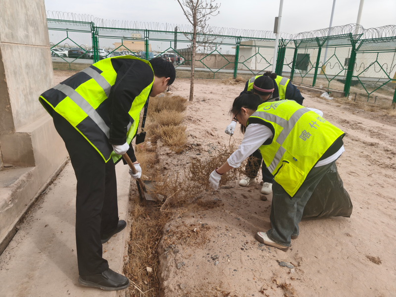 喀什徕宁国际机场清除航管楼周边杂草 筑牢运行安全防线