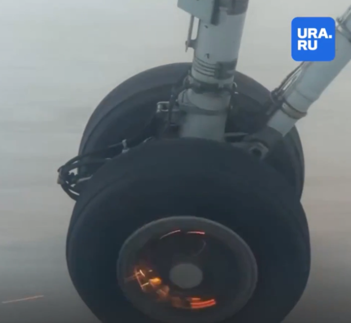 流浪狗穿越跑道 飞机急踩刹车火星四射