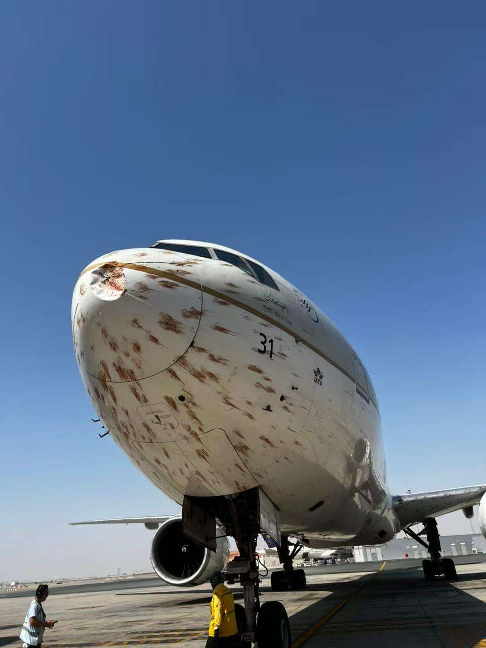 沙特航空一航班遭遇鸟击