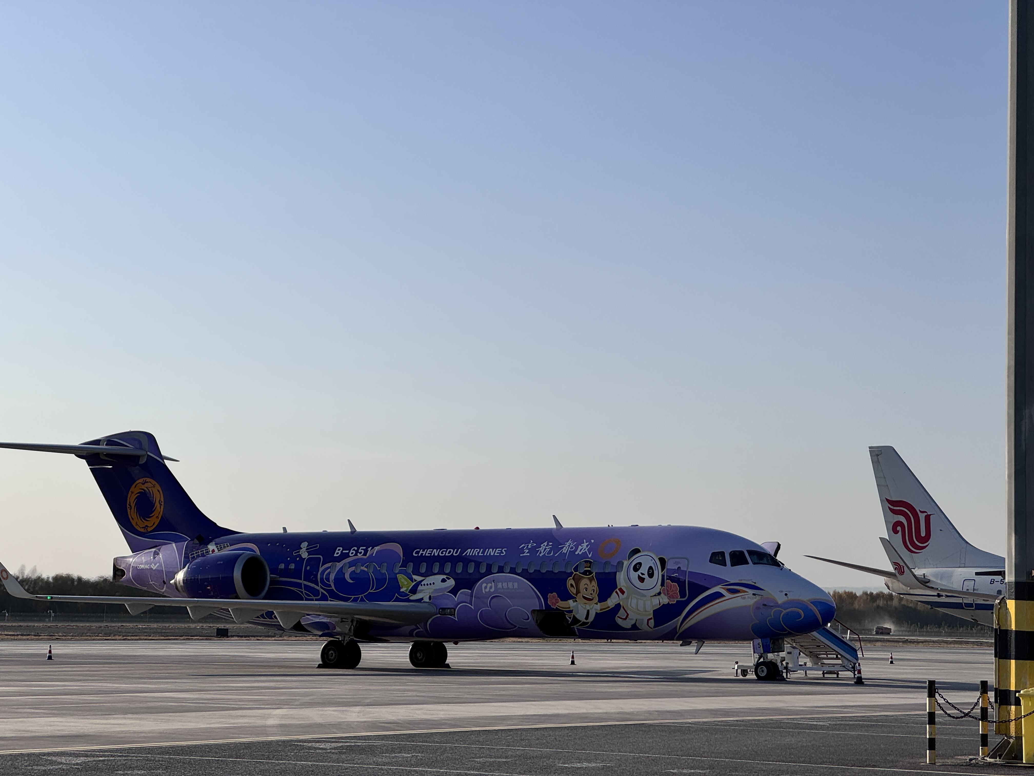 戈壁风中的菊花香